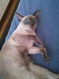 有了这3点的私服千万不要玩 倒闭快 坑到你怀疑人生