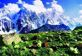 新手教程：修改游戏公告传奇私服发红字命令及公告文字颜色设置