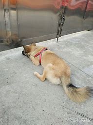 为什么我一进传奇私服就死机 就卡死