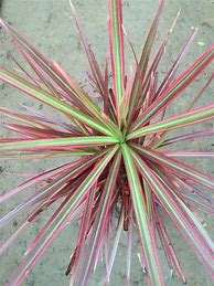 传奇私服怎么设置进入地图一个点