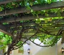 自己搭建一个传奇私服要多久？