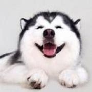 传奇网页都被传奇私服网篡改了私服攻破https 如何设置网站https防劫持 申请免费https