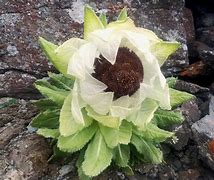 目前最好的传奇合击辅助介传奇私服合击属性点加什么好绍及推荐