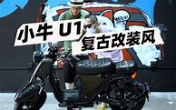 玩了这么多年才发现 玩了这么多年才发现自己是个萌新【口袋妖怪漆黑的魅影