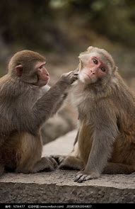 打开网站全是传奇私服