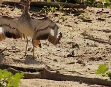 超变态韩版靓装传奇官网版