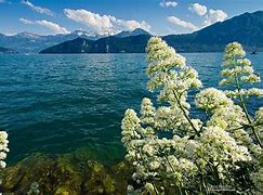 win8.1玩传奇私服