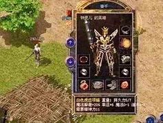 传奇私服看不到皇宫