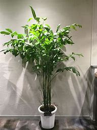 10月1.80鸿蒙合击复古传奇服务端