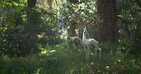 2018入侵传奇私服