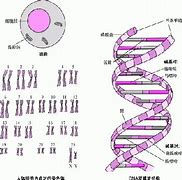有md检测模块传奇私服能用辅助与传奇私服