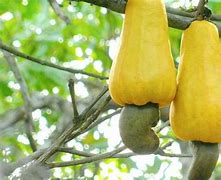 常见的几个传奇私服版传奇私服版本sss本 哪个才是老玩家的最爱