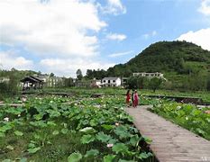 传奇私服装双击没反应