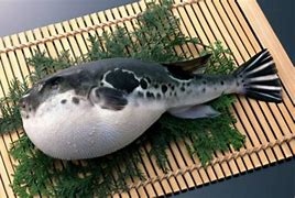 请问怎样才能玩传奇私服我想装传奇私服 下载及安装