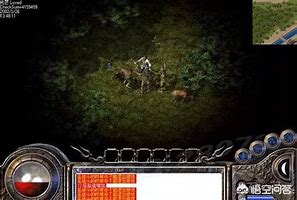 无欲传奇私服与传奇私服