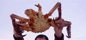 几种常见的怪物 最后一个是我们的老朋友