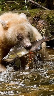 现在传奇世界有私服了 传世群英版为何能脱颖而出