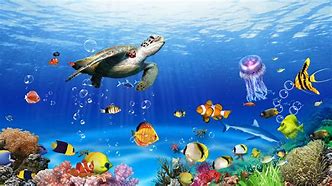 有海底世界的传奇私服