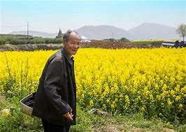 要求好几天开一个新区的 多久开一个区