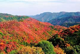 怎么复制传奇私服里的装备名字