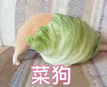 那里有好的传奇私服呀