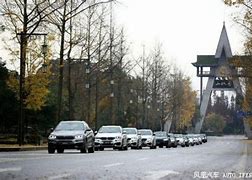 凤凰传奇辅助下载