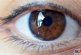 最受欢迎的传奇私服版本排行 最经典的几款私服 当时人气非常火爆 最后一款最好玩