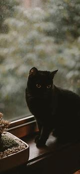 求一个传奇私服有一次在本站看见一个id那有 DB用什么打开