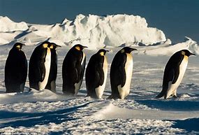 韩版传奇sf互韩版合成传奇私服通版(内附攻略)