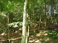 这人家曾经把《传奇》当私服玩 现在转战斗鱼 把斗鱼玩成了私服