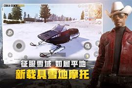 吃鸡冰雪手游下载
