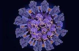 23日病毒预警 预警 incaseformat蠕虫病毒23号将再次发作