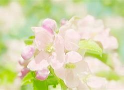 新开遗忘迷失传奇sf官网版