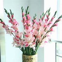 开得时间久的传奇私服