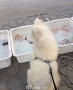 玩了这么久的传奇玩的久一点的私服传奇私服 感觉只有这一款才是最经典的