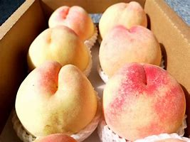 西门无恨之桃花传奇