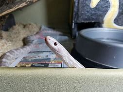 有适合长时间玩的传奇私服吗和传奇私服 有适合长时间玩的传奇私服吗与传奇私服