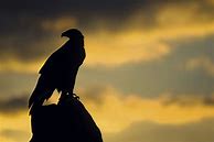 人多的传奇私服怎么找