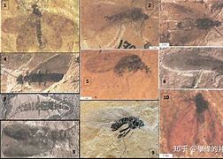 传奇：钻入地洞就是桃源之门，被大家成为猪8，请问这里为何会成为怪物避难所