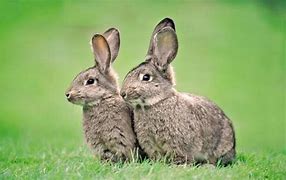 win7传奇私服登录器按钮被黑框挡住了显示  爱