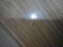 家里电脑怎么下载不了传奇私服