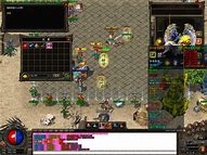 龙魂传奇私服网站