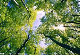 【世界boss】跨服争霸 雷泽大陆传奇私服魔龙地图教主BOSS魔龙教主争夺技巧