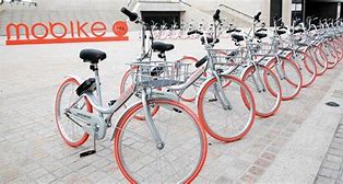 原来这种id号都要封 猫神因ID违规被封七天 猫神 为什么