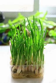 怎么复制别人装备的名字 – 手机爱问