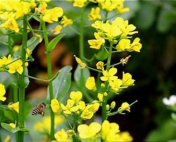 为什么开了传奇私服不能创建角色？