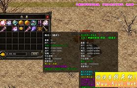 传奇私服内挂自动吃药