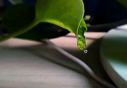 关于传奇私服玩家爆卡的问题