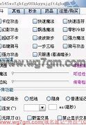私服专用辅助下载