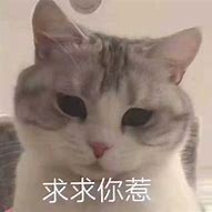 有了这3点的私服千万不要玩 倒闭快 坑到你怀疑人生